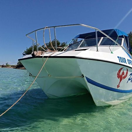 Dolphin Dhow Beach Safaris فيلانكولوس المظهر الخارجي الصورة