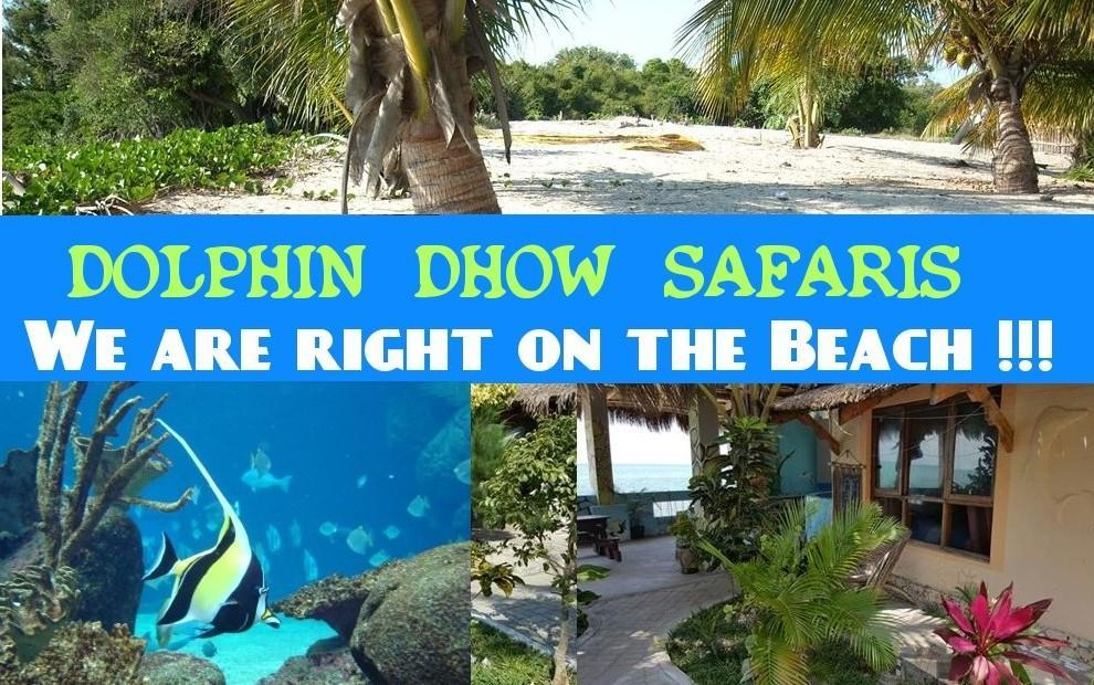 Dolphin Dhow Beach Safaris فيلانكولوس المظهر الخارجي الصورة