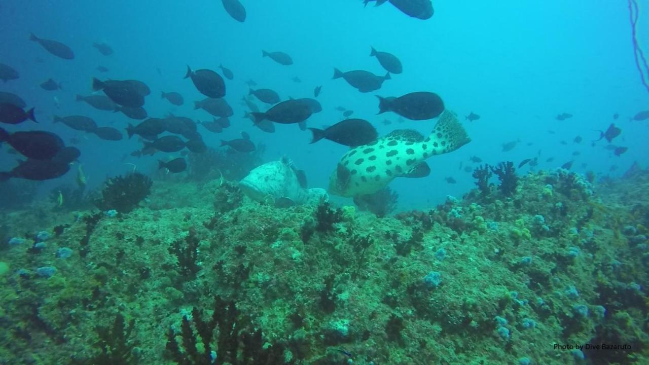 Dolphin Dhow Beach Safaris فيلانكولوس المظهر الخارجي الصورة